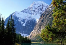 麦卡利斯特：梅西是世界最佳，他不在的时候我们必须更强大.