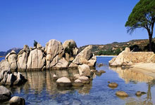 6686体育:全国春季游泳锦标赛:覃海洋收获蛙泳第二金3-22 23:11.